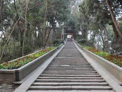 -子昂故里文化旅游区