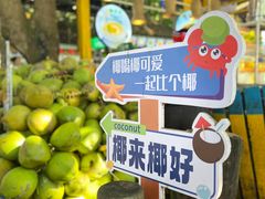 -海南分界洲岛旅游区