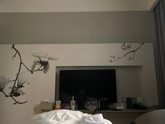 -白玉兰酒店(上海田子坊马当路地铁站店)