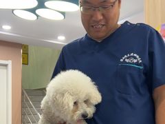 -天使宠物医院·犬猫分诊(彩虹店)