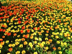 -长春公园(普阳街道)