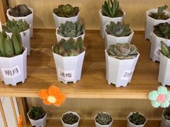 -海底捞火锅(泰安爱琴海店)