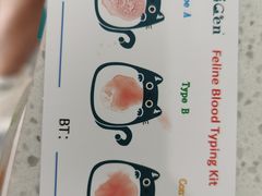 -安安宠医·臻爱宠物医院·宠保定点(营门口路分院)