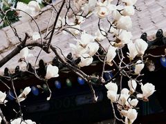 -万寿八仙宫