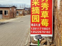 -昌平兴寿秀秀草莓采摘园