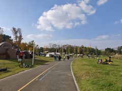 -白鹭湾湿地公园