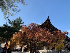 -西宁市东关清真大寺