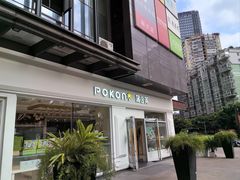 -蒲公英(五里店)