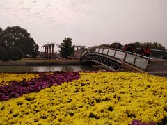 -上海月湖雕塑公园