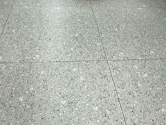-四月宠物医院·猫专科·心脏专科·内科(转塘店)