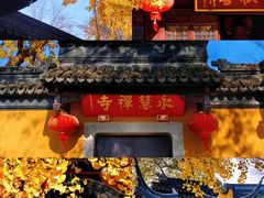 -西园戒幢律寺