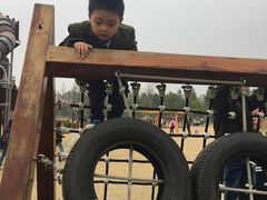 -上海长兴岛郊野公园