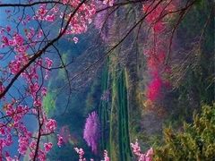 博纳国际影城-博纳国际影城(淄博店)