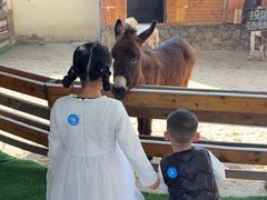 -HERRE·FARM 赫尔露营农场·团建聚会包场