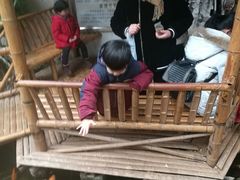 -上海大自然野生昆虫馆(东方明珠·爬宠昆虫探索中心)