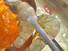 -大橘元自助回转火锅(天河新天地店)