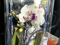 -顺峰(农展馆店)