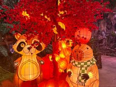 -正佳雨林生态植物园