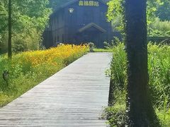 -黄海国家森林公园