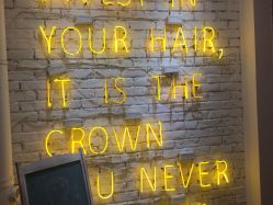 -HAIR PORN STUDIO