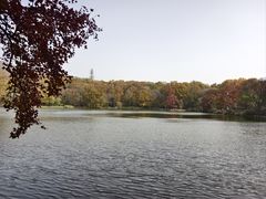 -紫霞湖公园