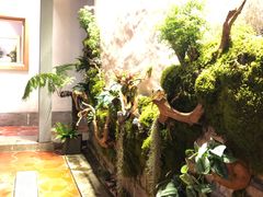 -厦门市日光幼儿园