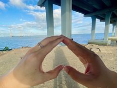 -宝安西湾红树林湿地公园