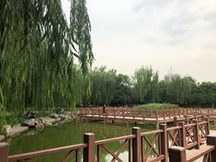 -丰台科技园生态主题公园