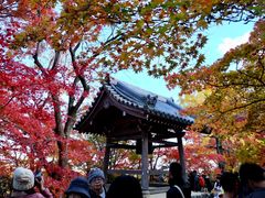 -常寂光寺