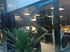 -绿树电竞(五路店)