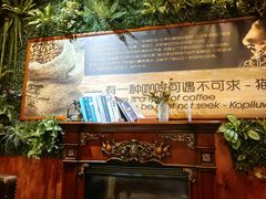 -猫屎咖啡(陶溪川店)