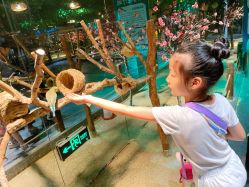 -酷嗒动物文化乐园(cutezoo西溪乐天城店)