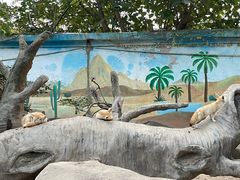 -上海野生动物园