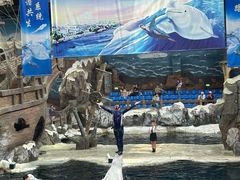 -杭州长乔极地海洋公园