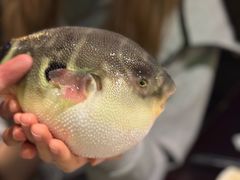 -永安鱼庄·镇江菜(东吴路店)