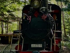 -五营红松林海景区