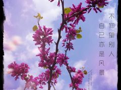-神仙树公园