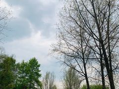 -水墨汀溪风景区