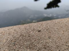 -天津盘山风景名胜区