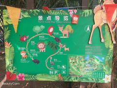 -海南热带野生动植物园