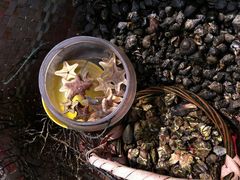 -漳州滨海火山岛自然生态风景区