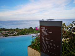 -瑰丽酒店·海吧·天际下午茶·现场DJ·天台酒吧