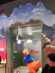 -飞览天下沉浸式飞行体验(北京旗舰店)