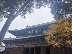 -报恩寺(平武县)