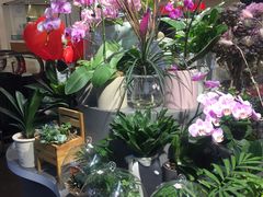 -Olé精品超市(上海虹桥南丰城店)