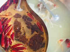 -DaLongYi Hotpot - 大龙燚火锅 - 地道四川老火锅