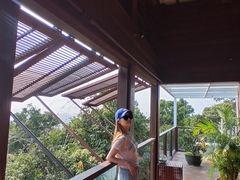 -三亚亚龙湾人间天堂鸟巢度假村