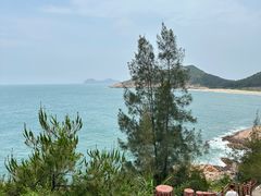 -广东惠东海龟国家级自然保护区