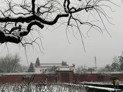 android_upload_pic-景山公园