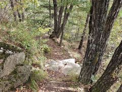 -王顺山国家森林公园